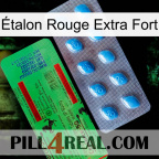 Étalon Rouge Extra Fort new03
